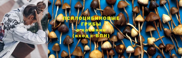 мет Алзамай